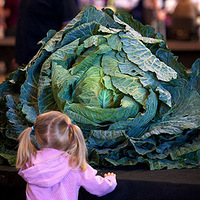 Ӣ���ٰ�����߲�չ ���˾��