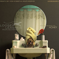 ���ȹ����Ĵ�������