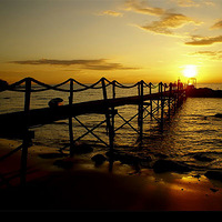 ƽ�����ŵķ����Ӱ