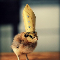 ���´��⣺�ɰ���С��ñ��