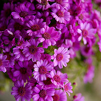 ��õ�ʱ���ǣ��������ã���պ�Ҳ��