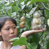  �������ɡ����͡��������Ƿ������ 