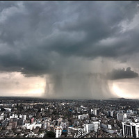 �������׿�����һ��ͼƬ~������Ŷ~�����ǳ�ݵĶ���~��