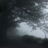 ������ۼ�������ɾ� ���������