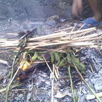 ���������С�һ���Ұ�⿾���ȳԣ�������ʱ���ζ����