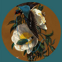 �������л���Ʈ��������������������