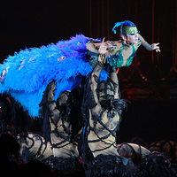 ����Ƽ������硶��ȸ���ڹ�����������