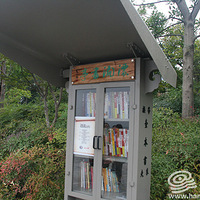 Ǯ���³�Ư����ͤ����Ư�� û׼�ܻ��������ҵ���