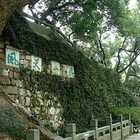 �����μǡ������¹���