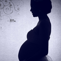 ɹɹBOB�Ź����и���~~