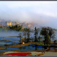 ���۾�����