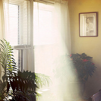 Alexander Harding ��׽�����ζ��