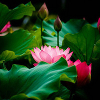 ʮ�������ǧ��Ʈ�㣬���䷼��ʼ���ཬ