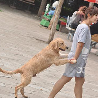  ��ĩΧ������ĳ������~��ֱ�ǹ�����Party 