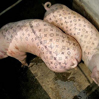 ��һ��ͼ������Ц�˺ܾá�