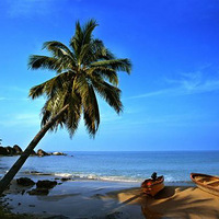 ����һ���ι��ԣ�holdס�����