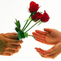 ��Щ�꣬�㽹������