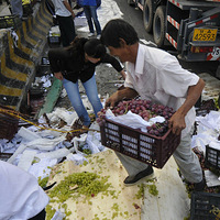 û�������� ֻ���벻�� 