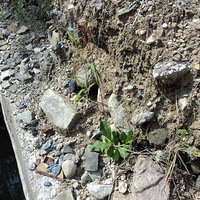 ��Ŀ�˲Σ�ʲô����Ʒ���������Ʒ