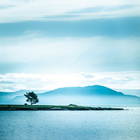 �𺳷�⣺�������ĺ���