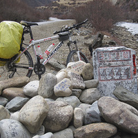 �������������¶��ﴨ����