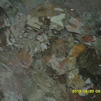 ɽ���ķ羰 Զ���˳��е�����