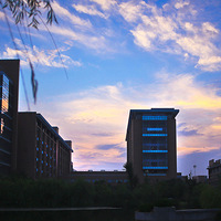 ������������һ��ɹɹ��Ĵ�ѧ�����ɡ�