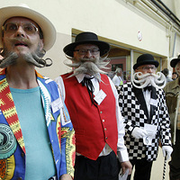 ŷ�޺�������� ��ʽ�����׹���һ�ϸ���