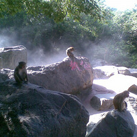 �������ι���֮-����ﵺ