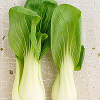 Դײ˵ĺô 5ƽ