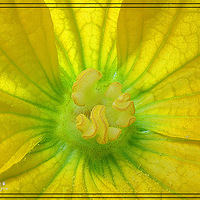 ��������������ϻ�