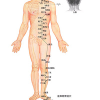 ��ҽ��ѨλЧ��ͼ