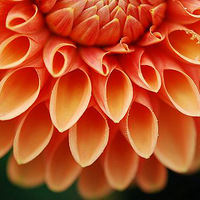 �������Ĵ�����