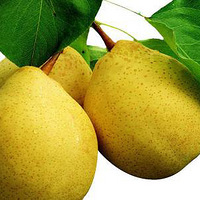 �����������ܳ�����