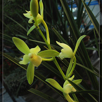 ����������Ʈ��