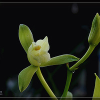 ����������Ʈ��