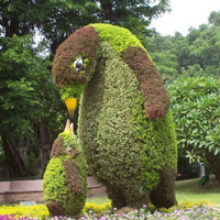 �����е���ۣ���ֲ�����ĸ�������