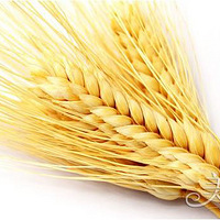 �̵��＾��óԵĽ���15��ʳ��