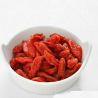 �＾������ʲô��12����ҩ�＾�����ܸ����������������