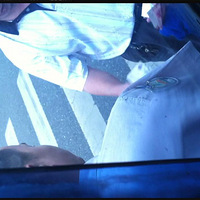 151���������β�����---���˻�ζ��~~~~~~~~~~~~~~~~~~