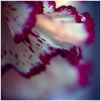 �λ���̬��Ӱ����֮��