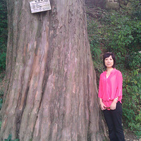 ���հ׼���