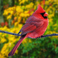 ���棡�̵�������16�ֺ����Ķ��