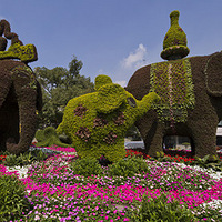 ��һ��~��һ��~  ��˵�ĸ���̳��Ư����