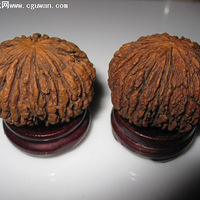 �ڽ�ʳ��-����-����