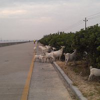 ���ڡ���ɳУ԰��������Ĺ���ϸС��һ��֮����