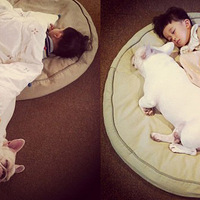 �ɰ���ͯ�����������ա���AYASAKAI