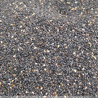 �����������ݵ�-VE