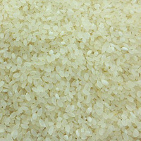 ����6���׵�����Ӫ�������ײ��� ޲������ 