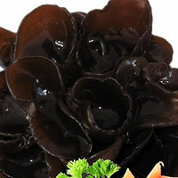 ���˲��� ���5�֡��ڡ�ʳ�� 